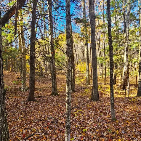 Hall Road Chester VT 05143