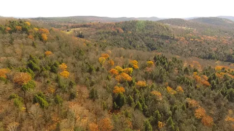 Hall Road Chester VT 05143