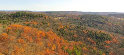 Hall Road Chester VT 05143