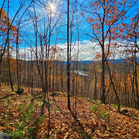 Hall Road Chester VT 05143