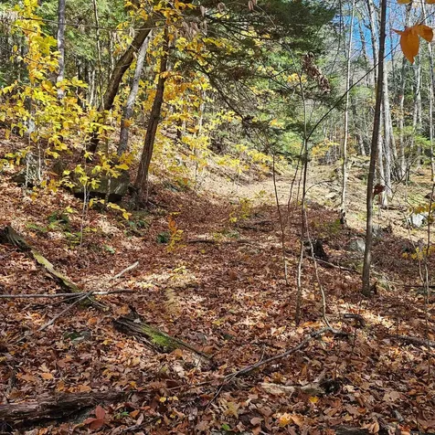 Hall Road Chester VT 05143