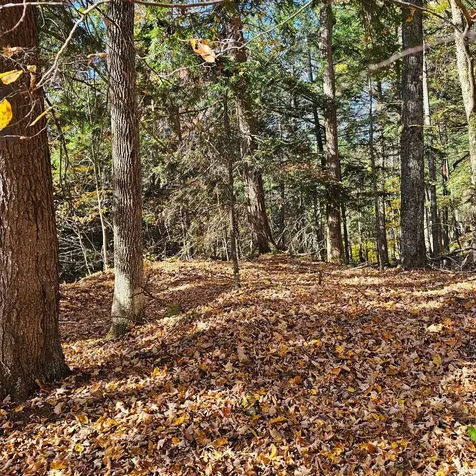 Hall Road Chester VT 05143