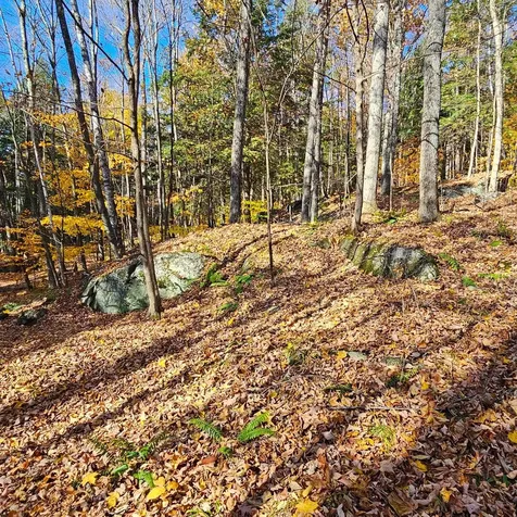 Hall Road Chester VT 05143