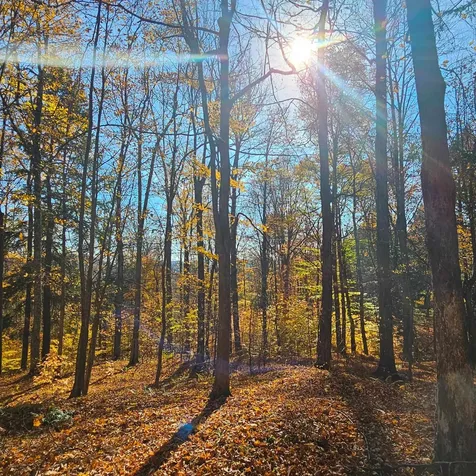 Hall Road Chester VT 05143