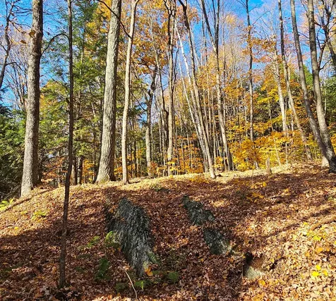 Hall Road Chester VT 05143