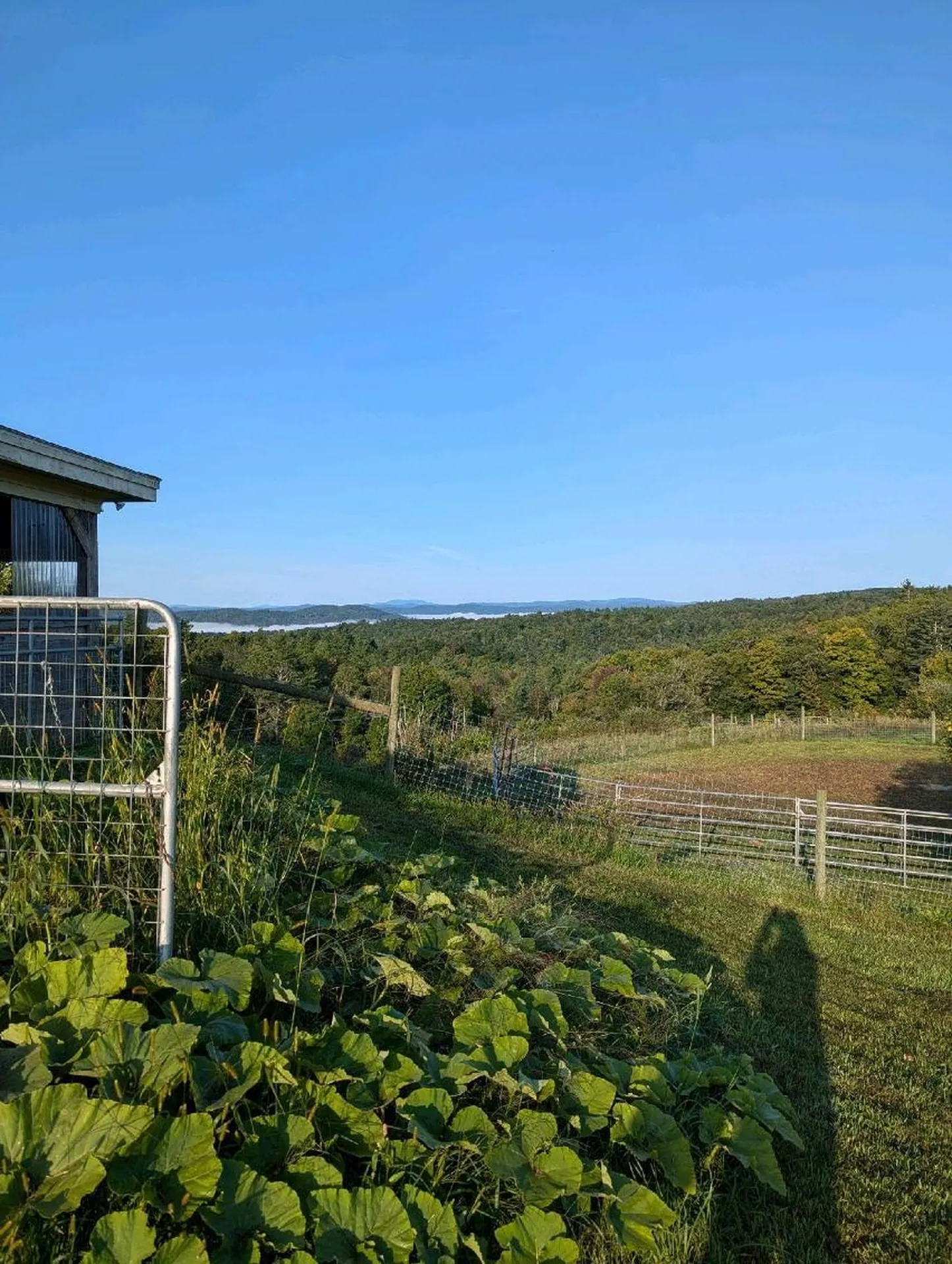 277 Holden Hill Road Langdon NH 03602
