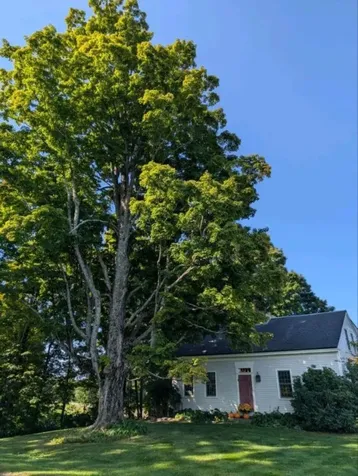 277 Holden Hill Road Langdon NH 03602