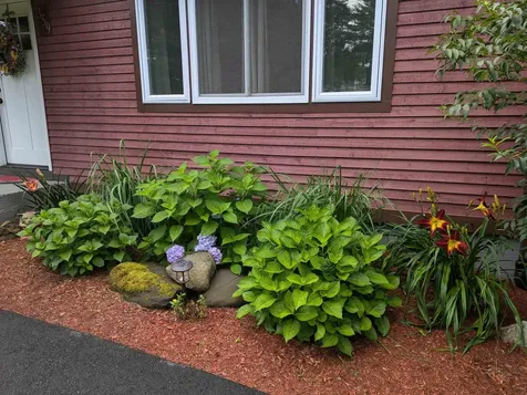 359 Sierra Lavin Road Barre Town VT 05641