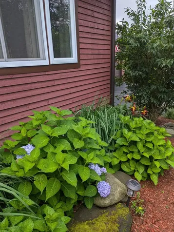 359 Sierra Lavin Road Barre Town VT 05641