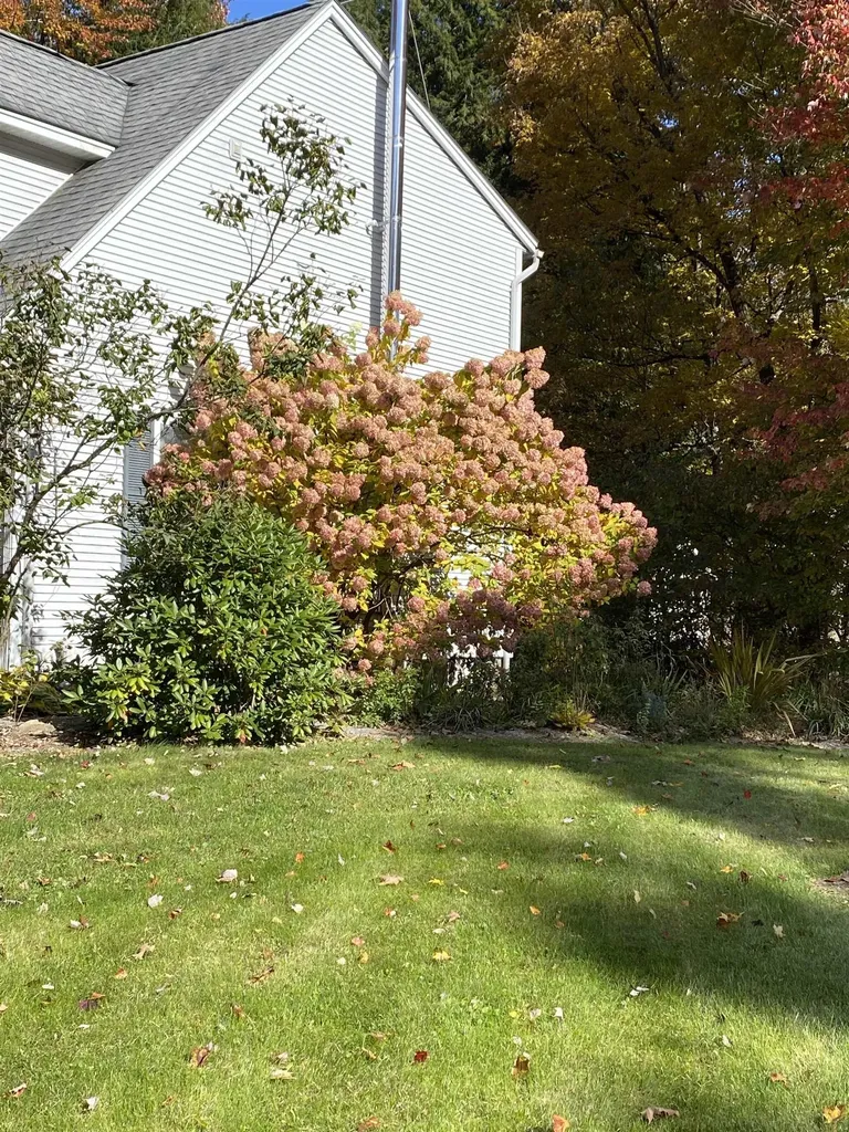 254 Overlake Drive Georgia VT 05454