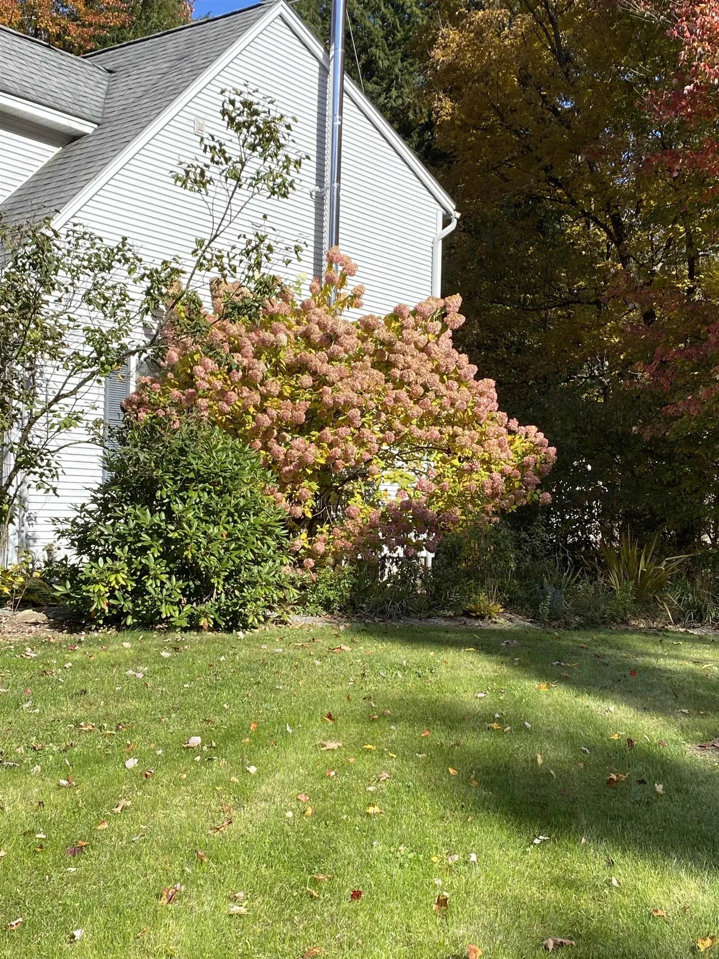 254 Overlake Drive Georgia VT 05454