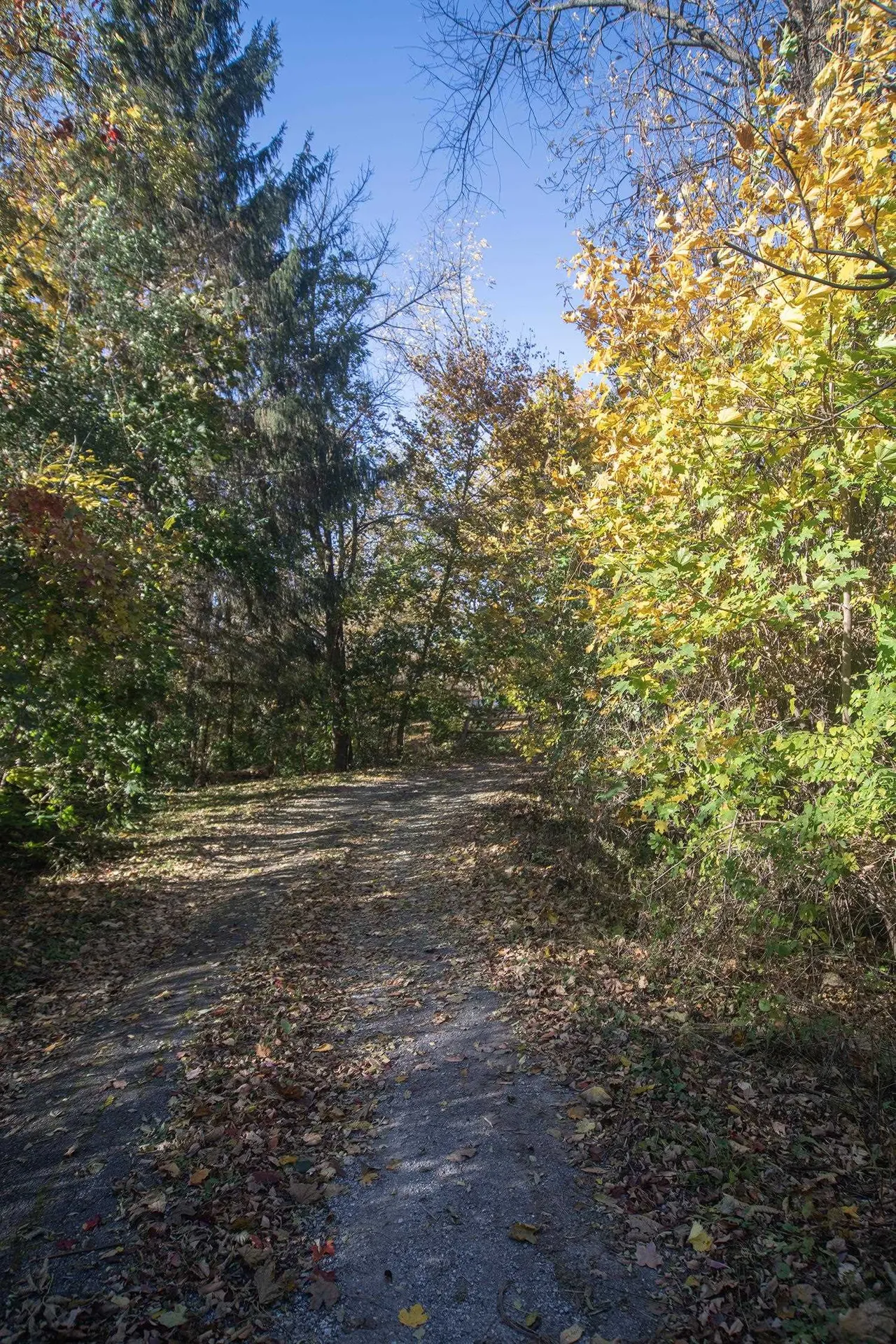 371 Brigham Road St. Albans Town VT 05478