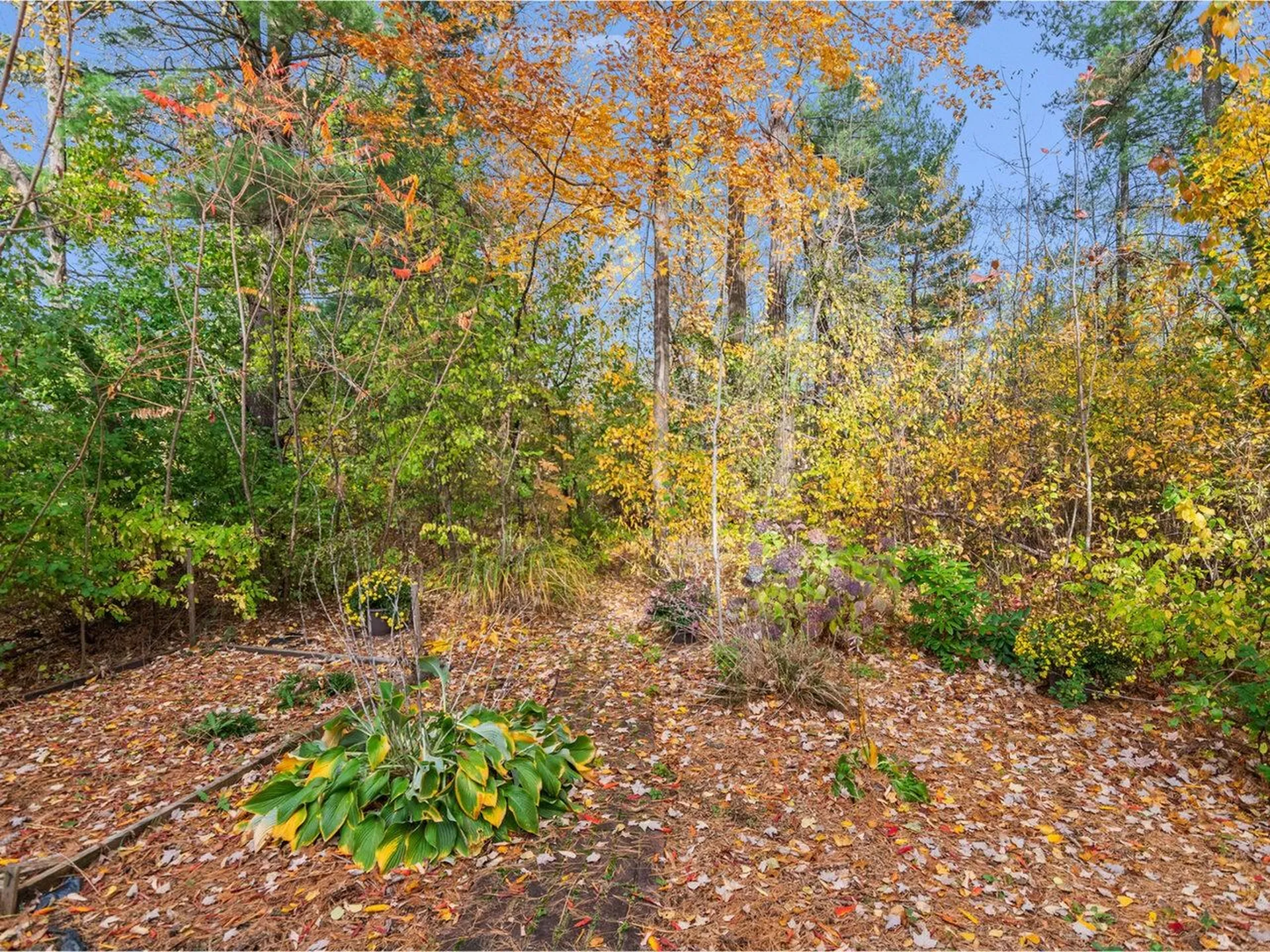 18 Lake Forest Drive Burlington VT 05401