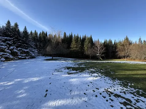 5371 Noyestar Road Walden VT 05836