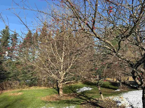 5371 Noyestar Road Walden VT 05836