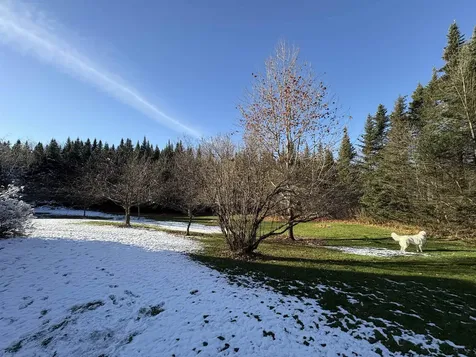 5371 Noyestar Road Walden VT 05836