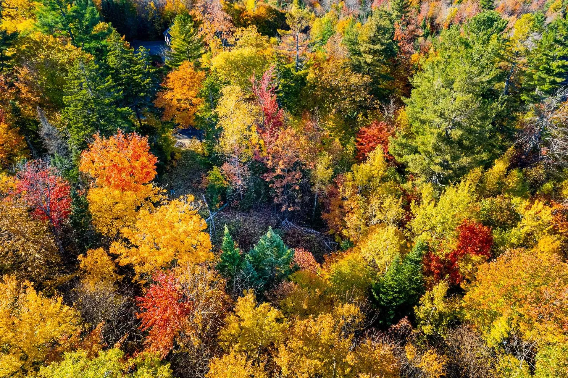 0 Summit Road Sutton NH 03221