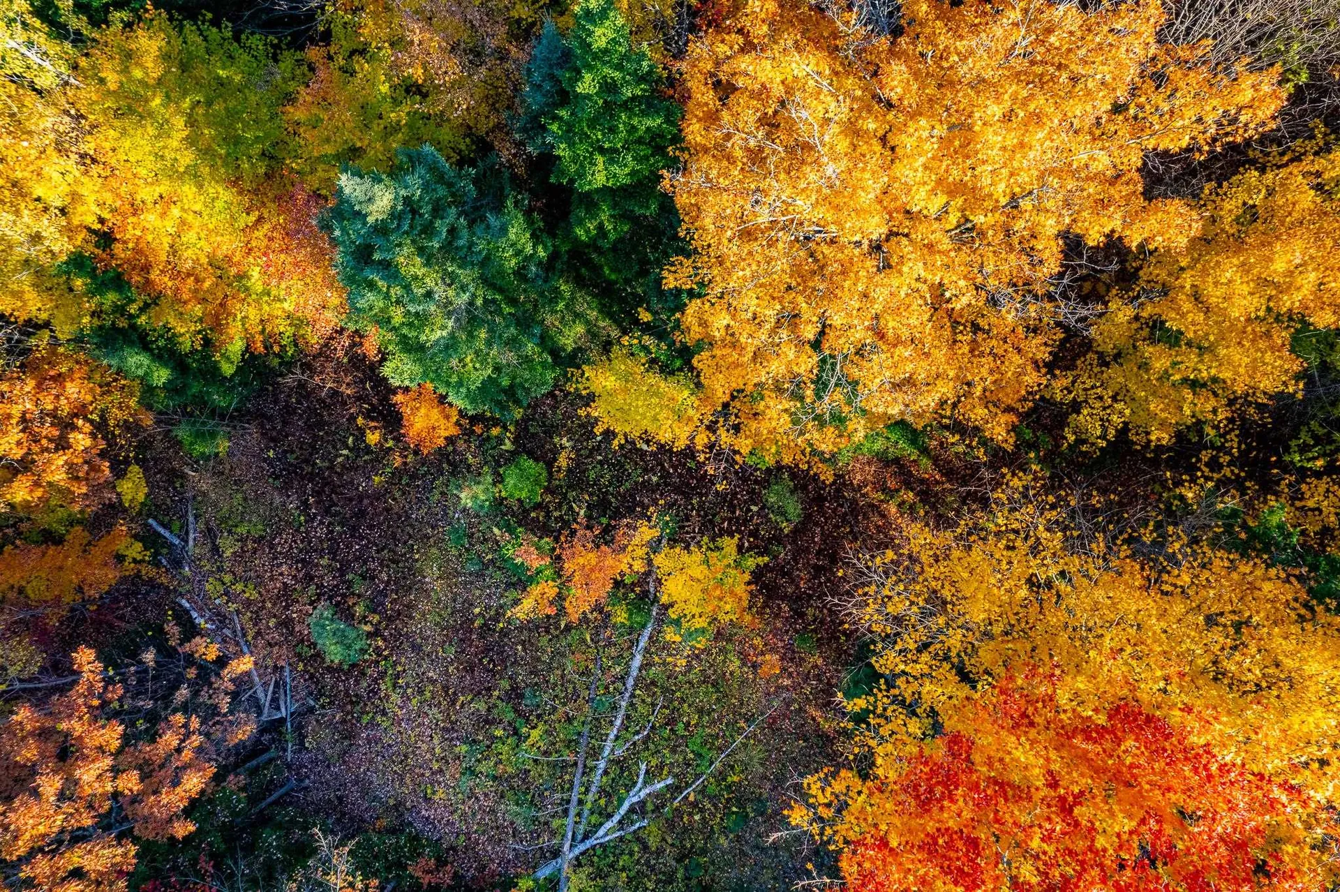 0 Summit Road Sutton NH 03221