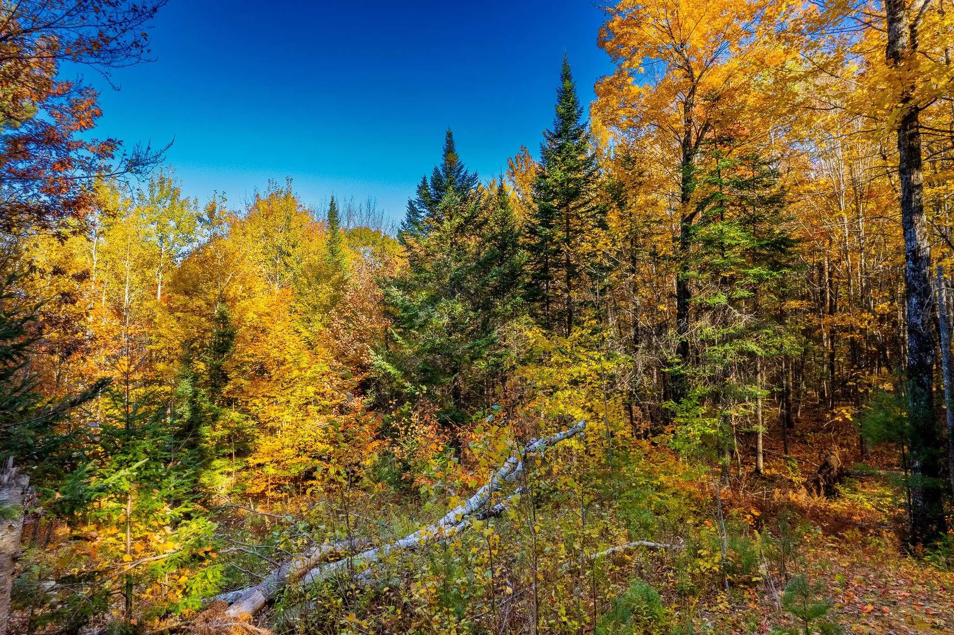 0 Summit Road Sutton NH 03221