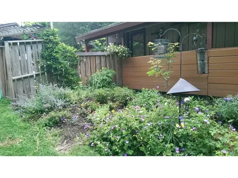 56 Noyes Road Moretown VT 05676
