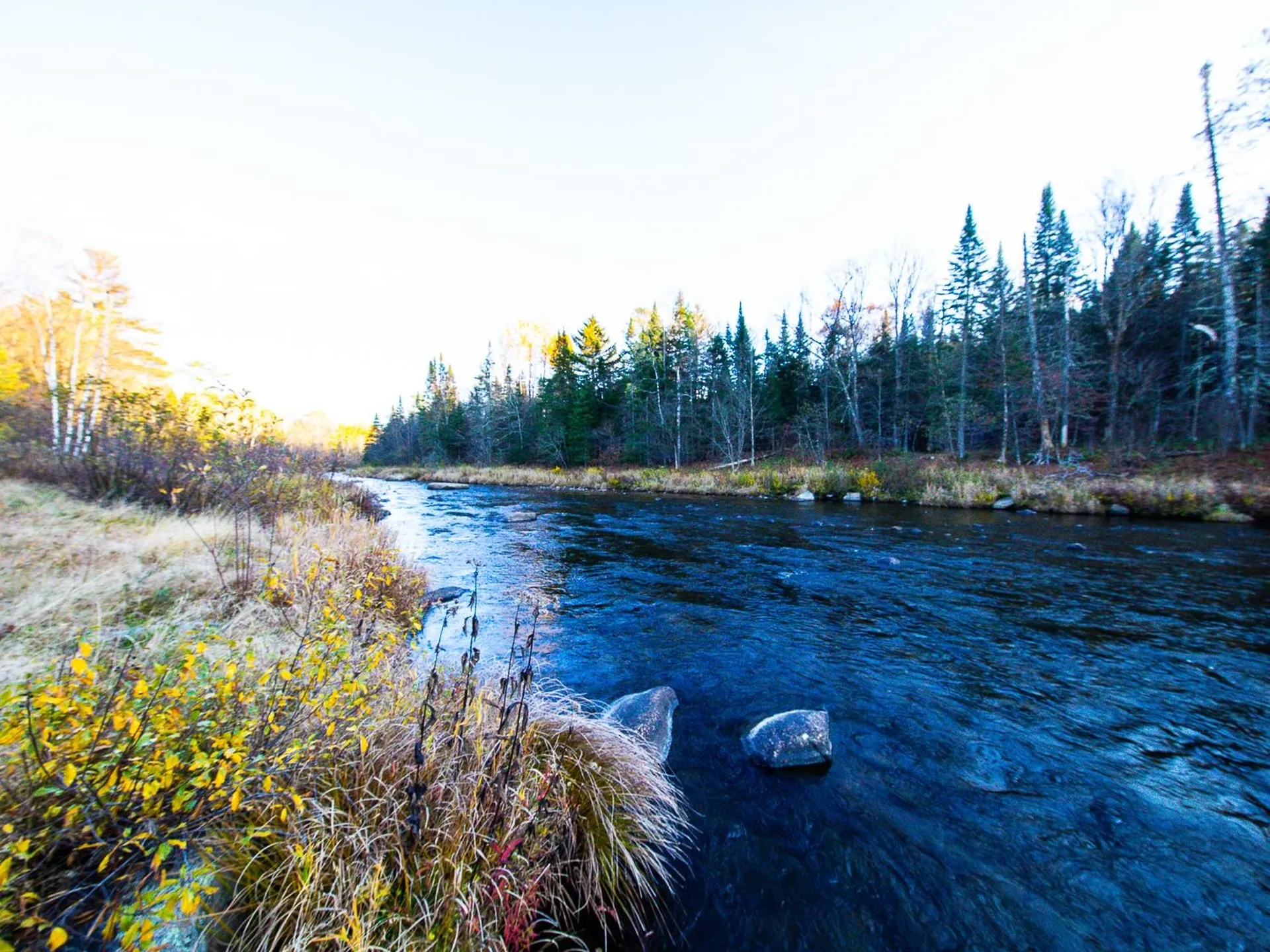 1035 Wing Road Bethlehem NH 03574