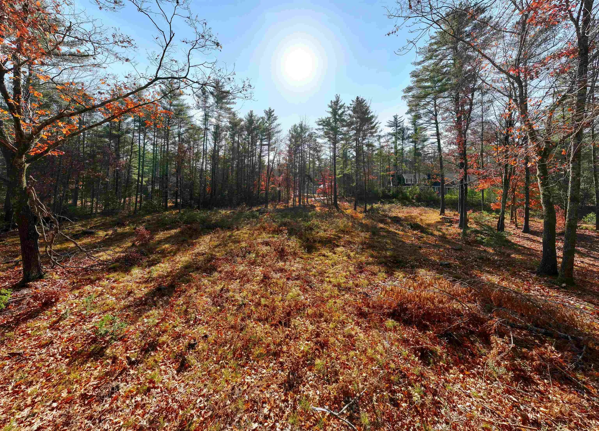 Lot 42 Winchester Lane Tuftonboro NH 03816