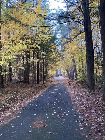 11 Mill Street Wolfeboro NH 03894