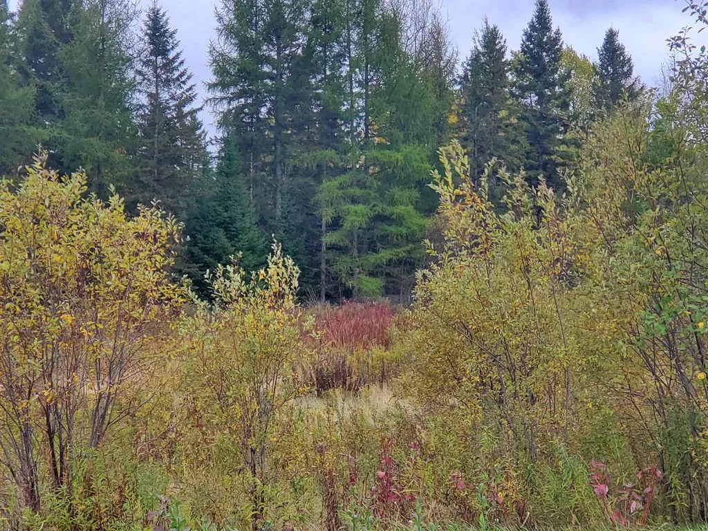 2700 Dane Hill Road Charleston VT 05872