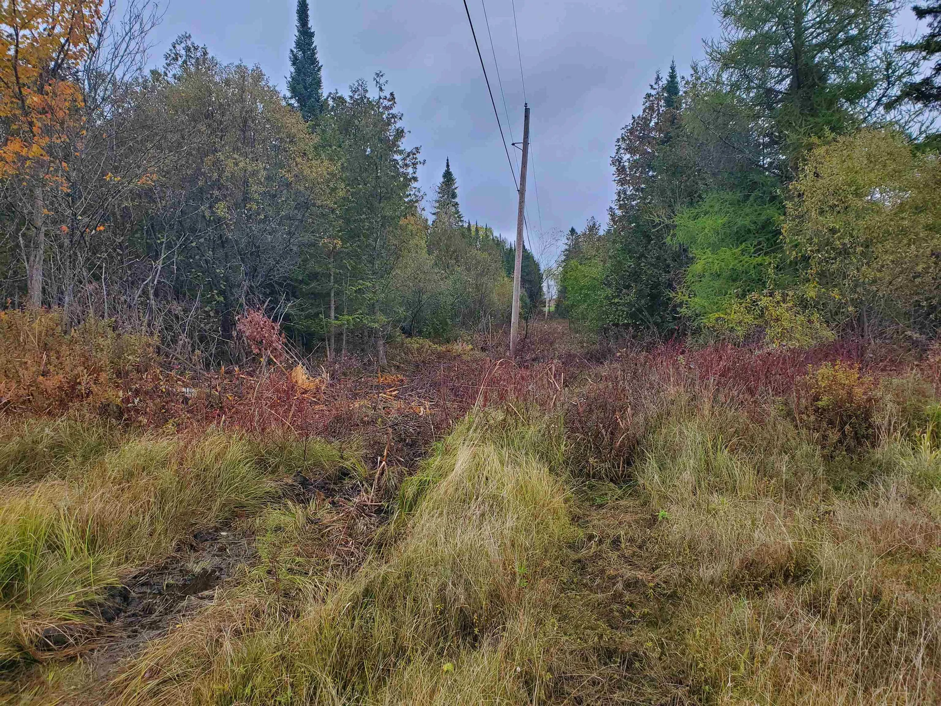 2700 Dane Hill Road Charleston VT 05872