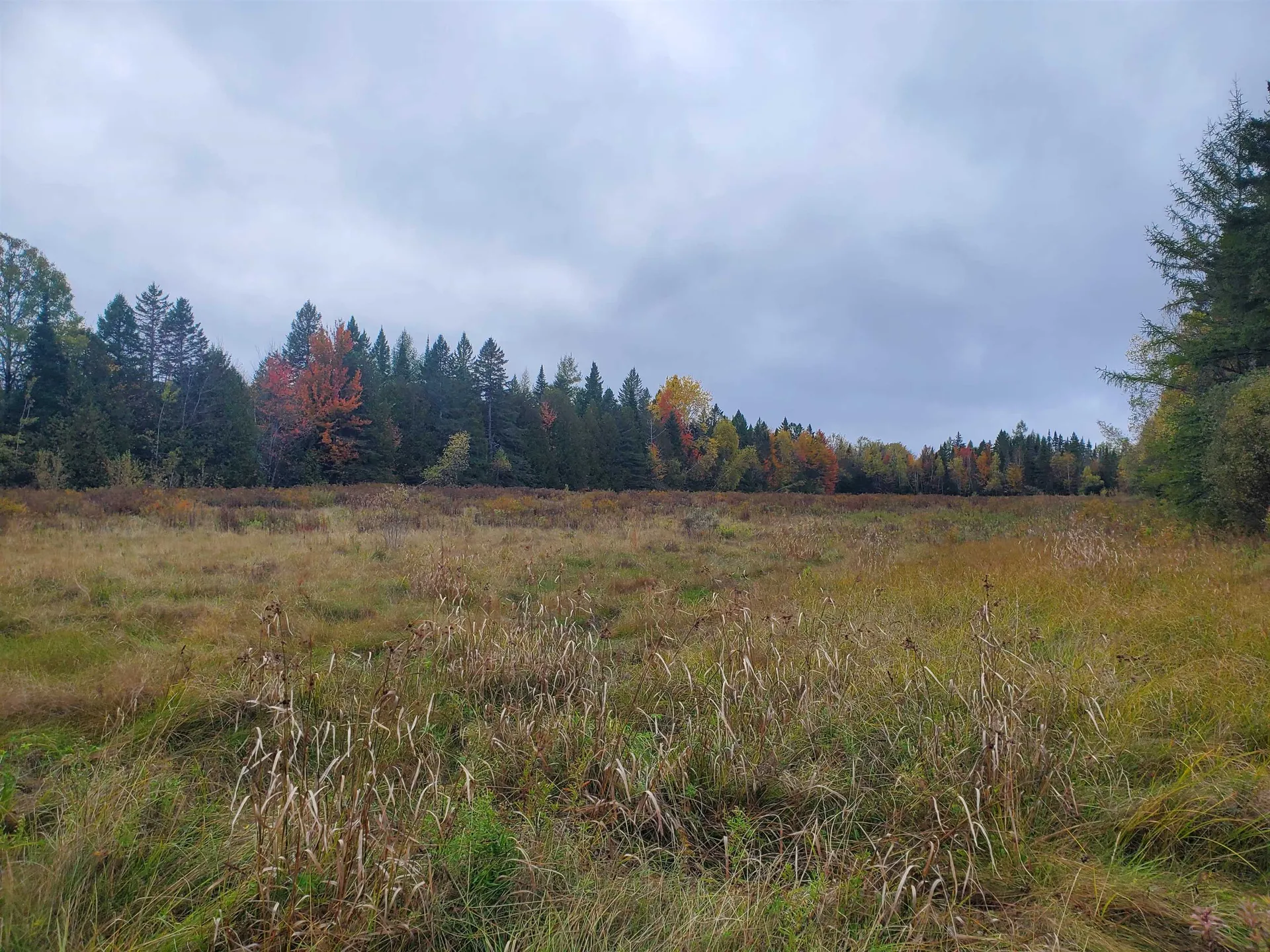 2700 Dane Hill Road Charleston VT 05872