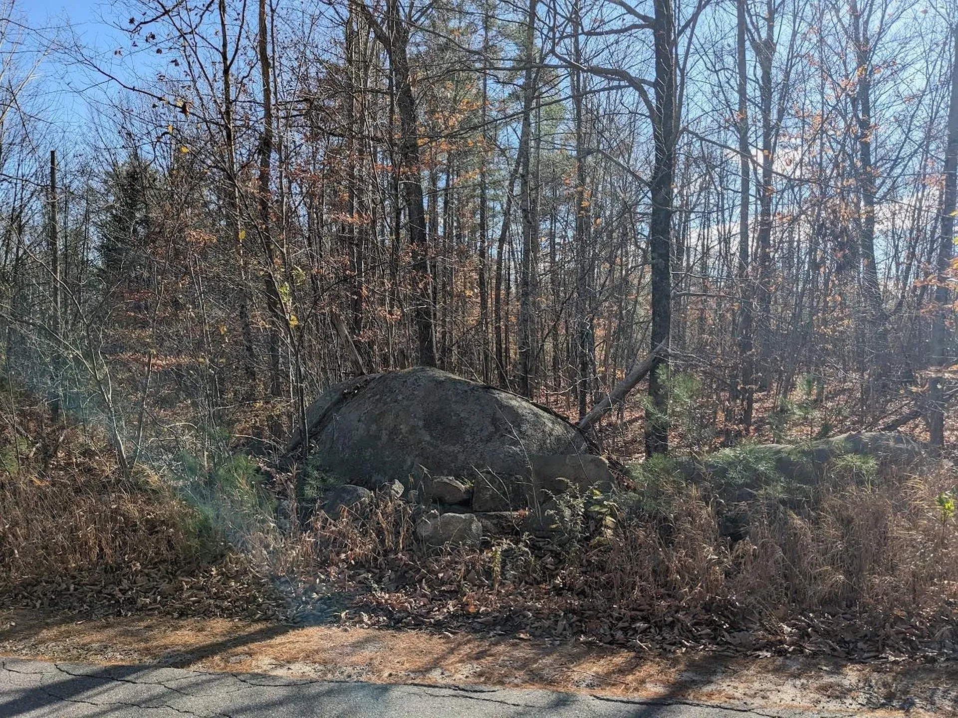 118 Champion Hill Road Effingham NH 03882