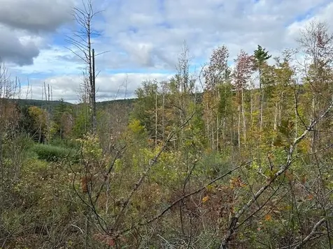 573 Smead Road Wardsboro VT 05360