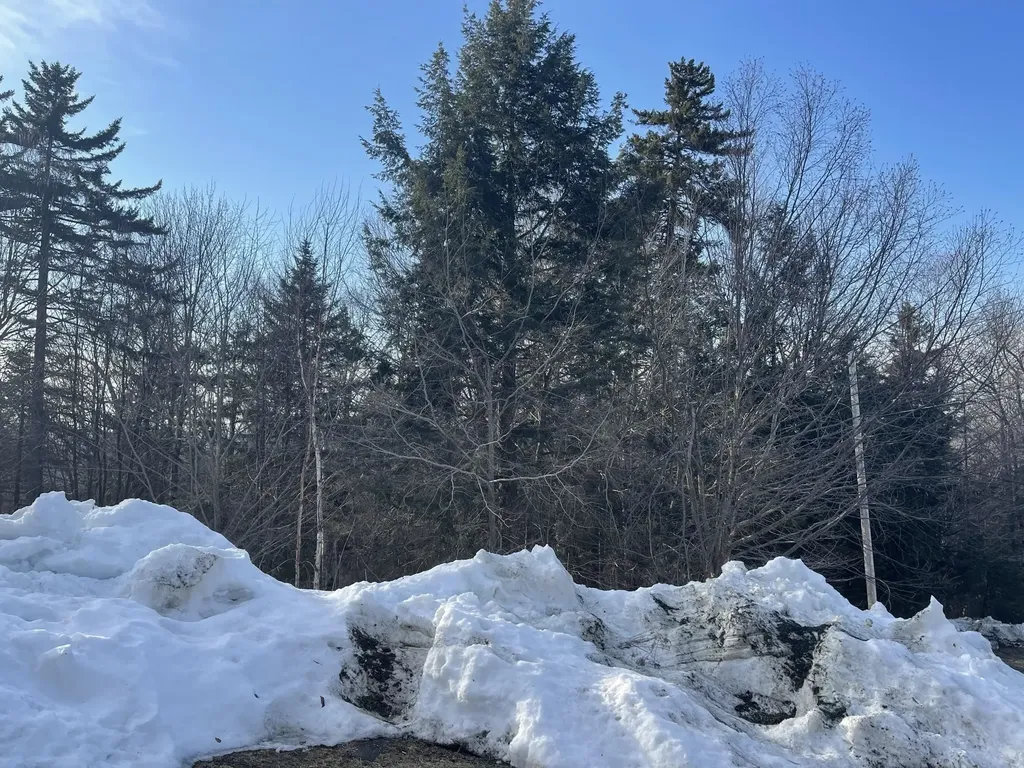 Lot 5 Ghastly Job Way Wilmington VT 05363