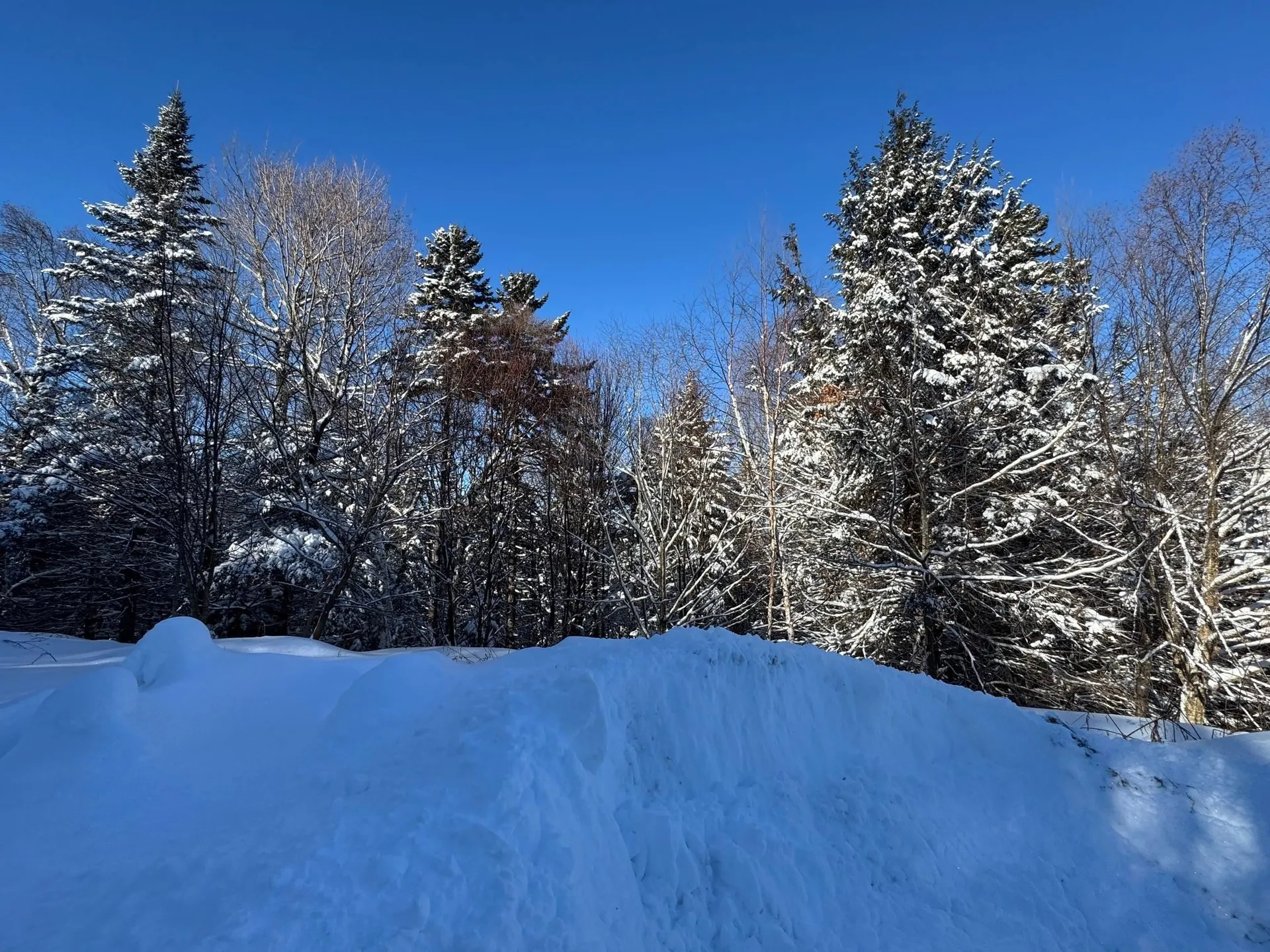 Lot 5 Ghastly Job Way Wilmington VT 05363