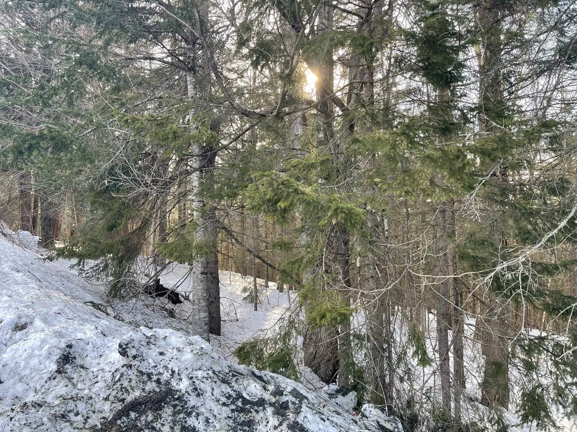 Lot 5 Ghastly Job Way Wilmington VT 05363