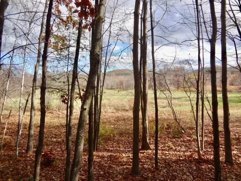 31 Henderson Road Gilford NH 03249