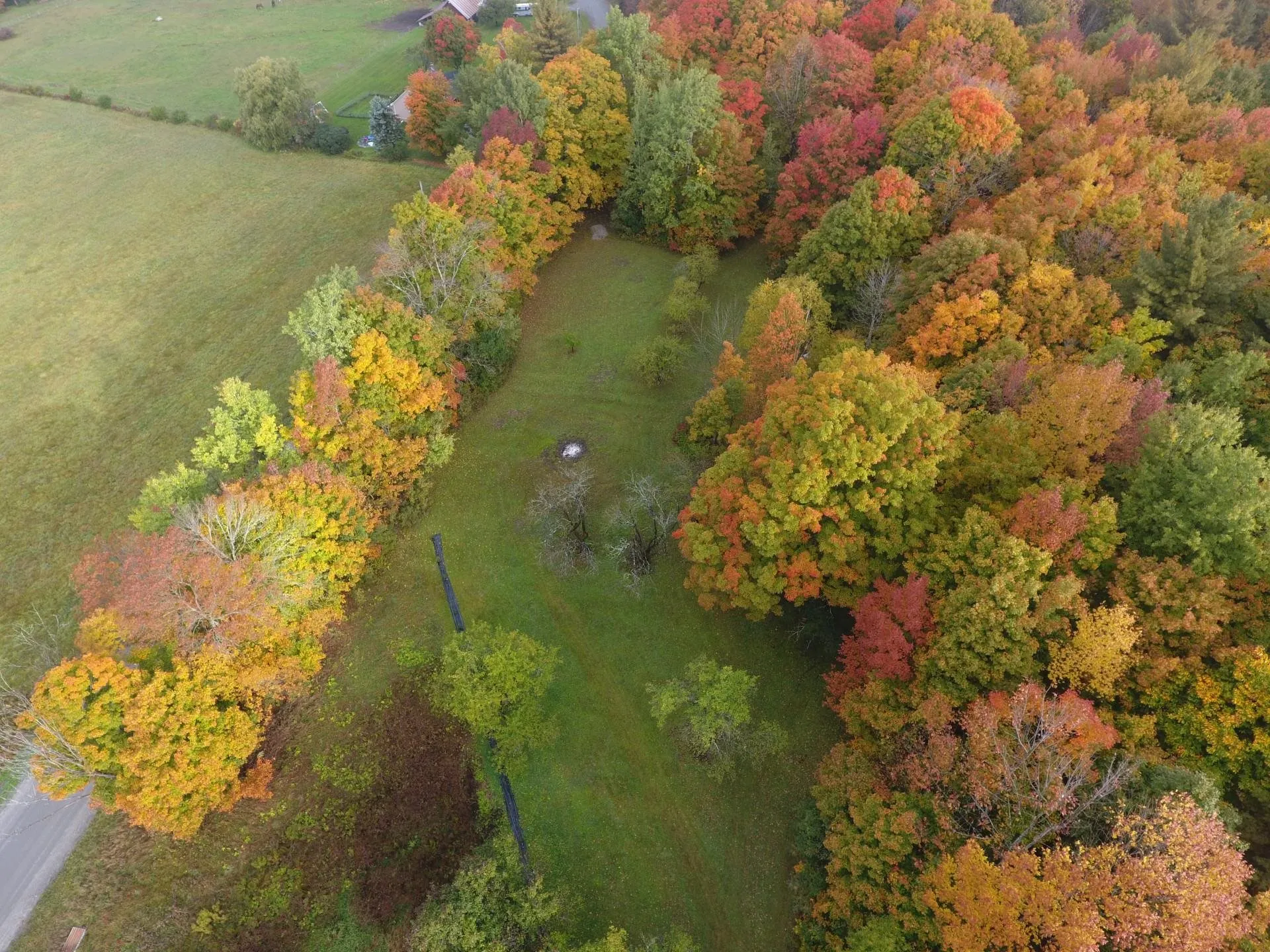 365 Tower Road Williamstown VT 05679