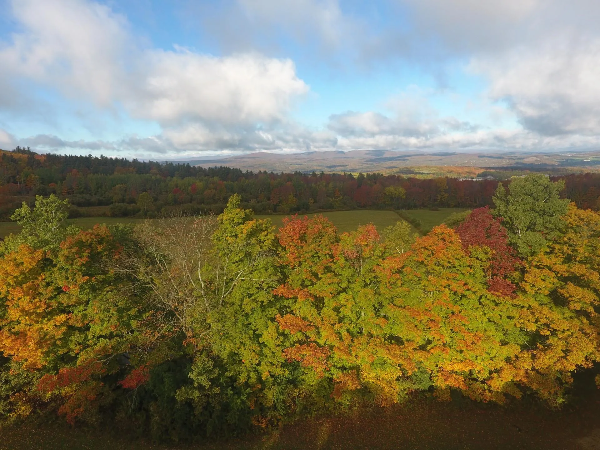 365 Tower Road Williamstown VT 05679