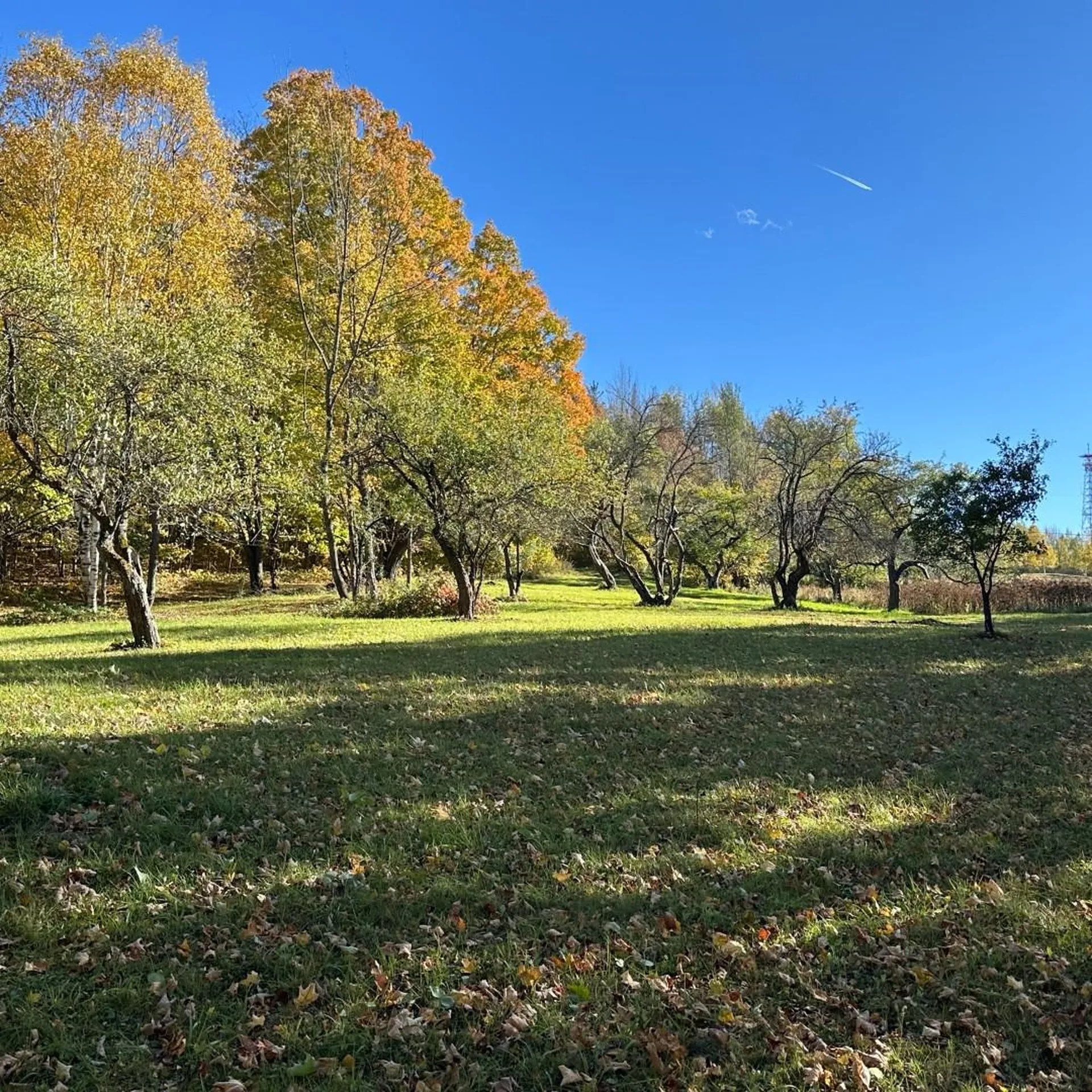 365 Tower Road Williamstown VT 05679