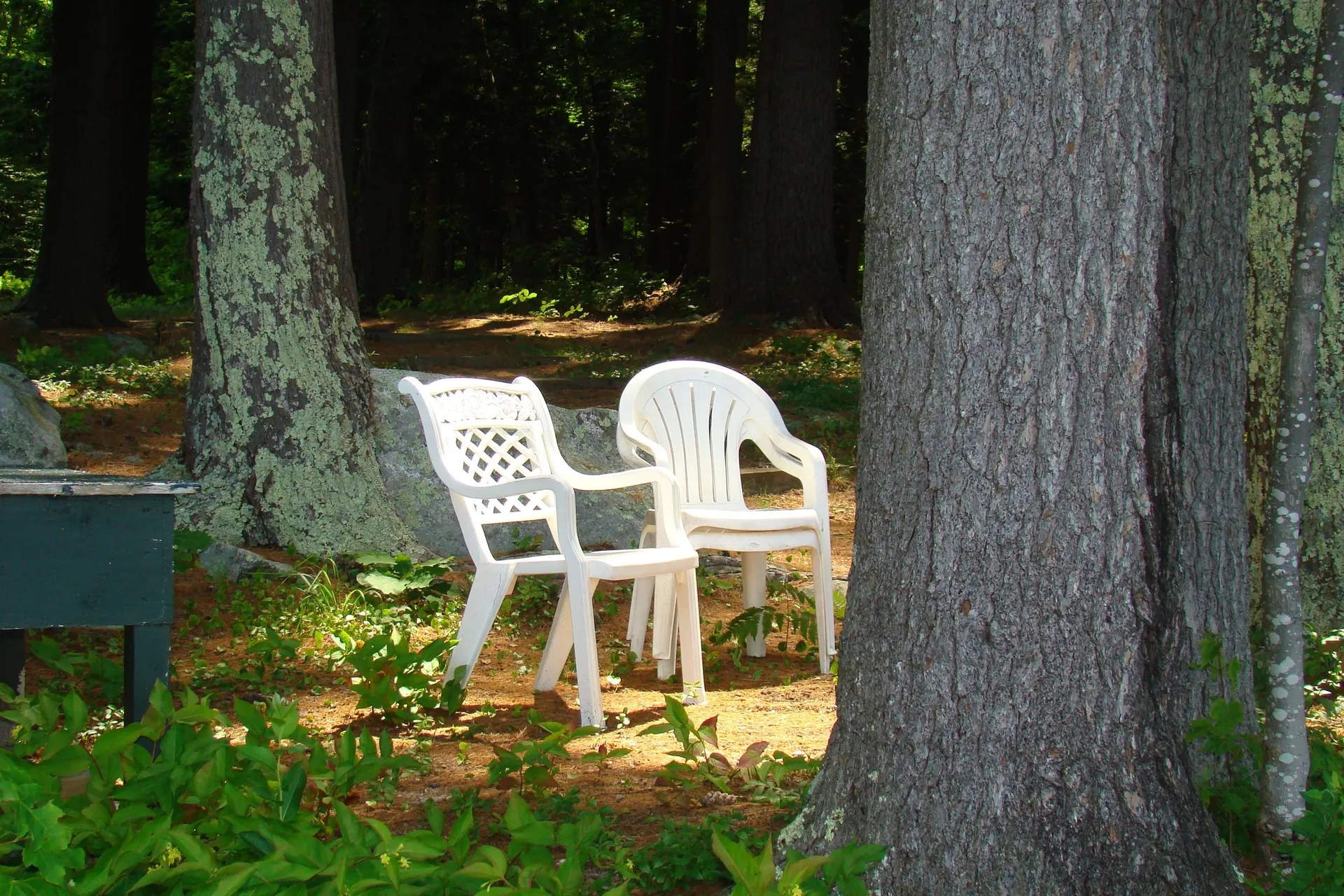 105 Red Hill Road Moultonborough NH 03254