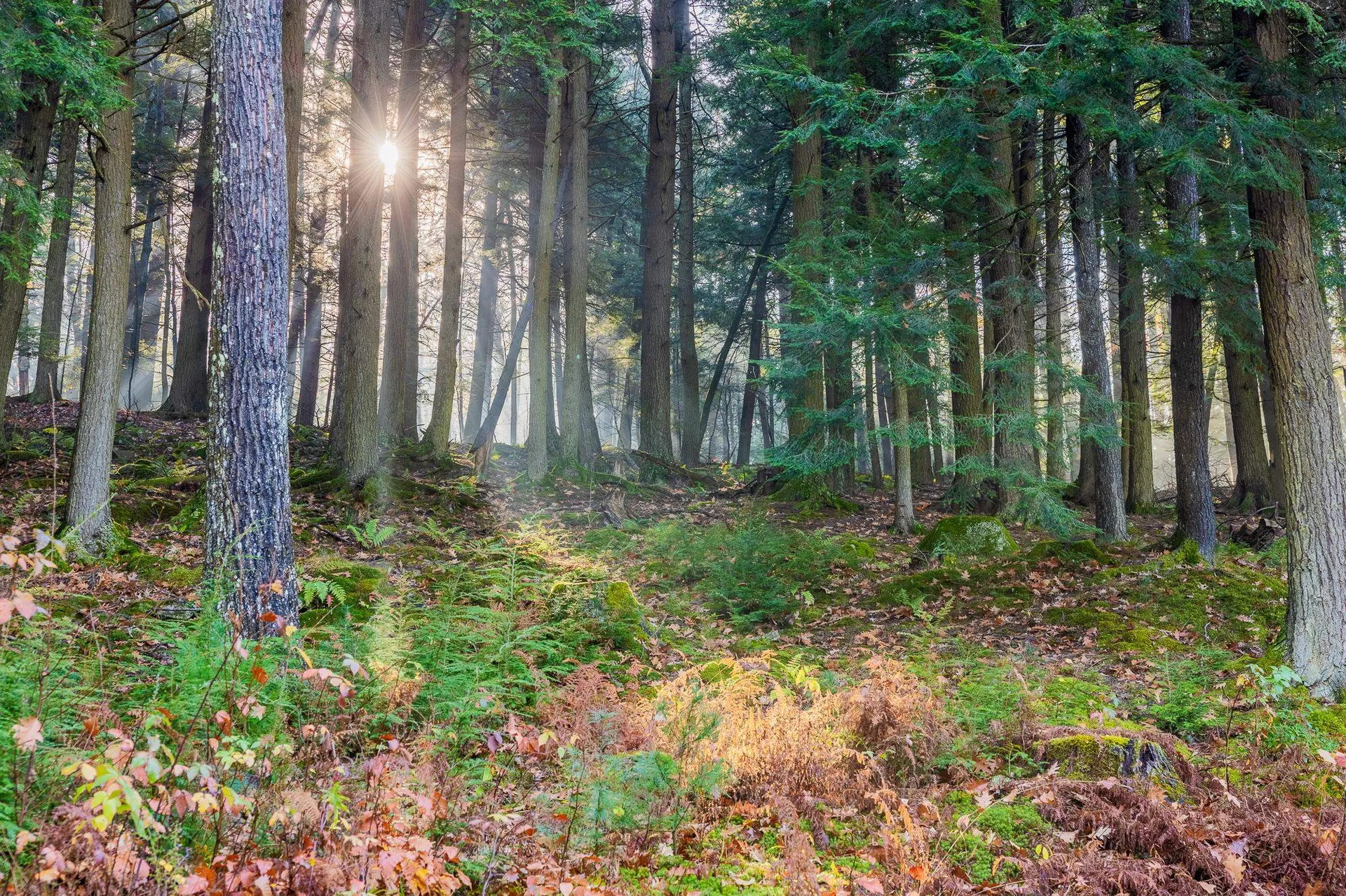 34 Low Road Hanover NH 03755