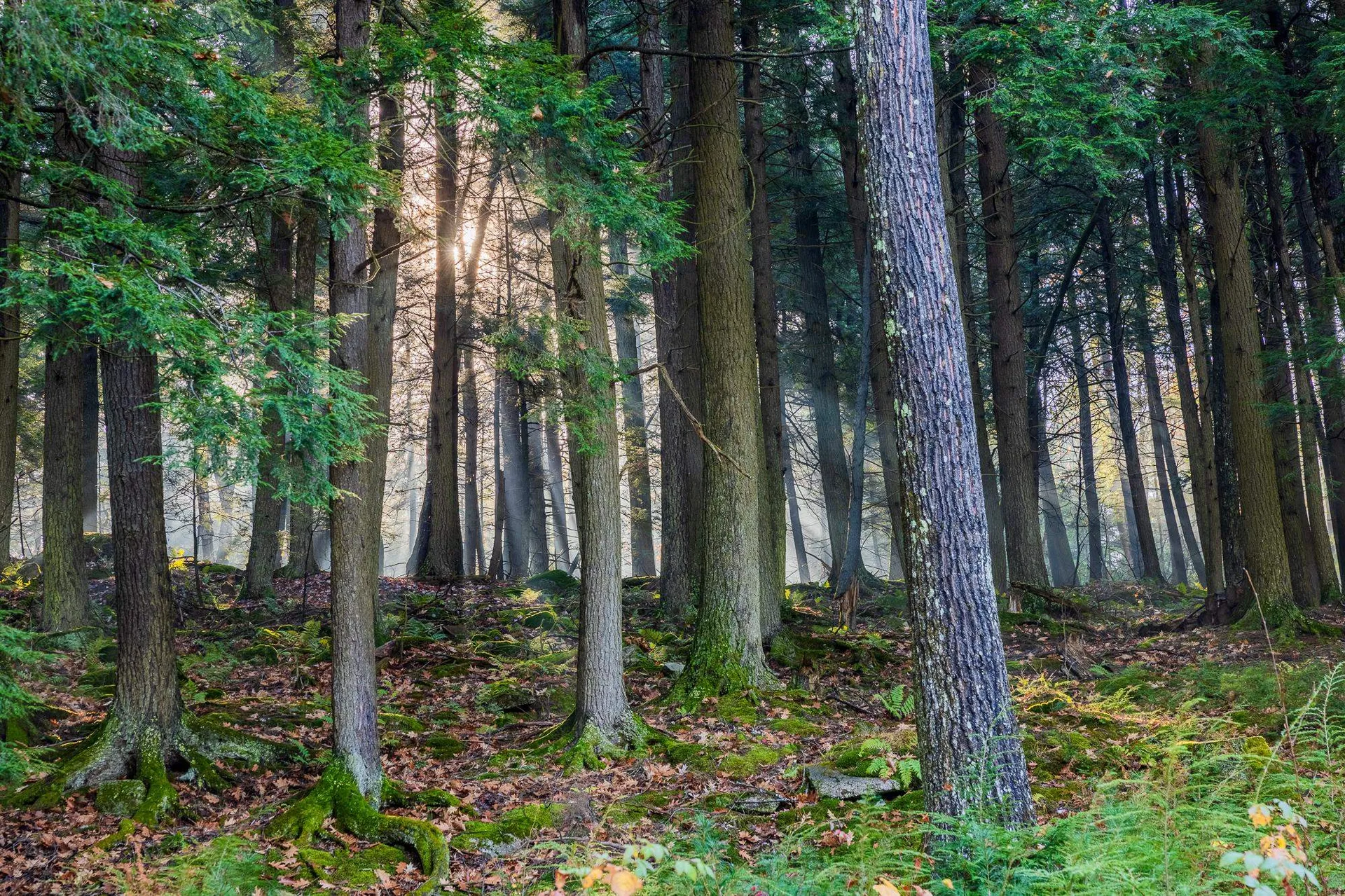 34 Low Road Hanover NH 03755