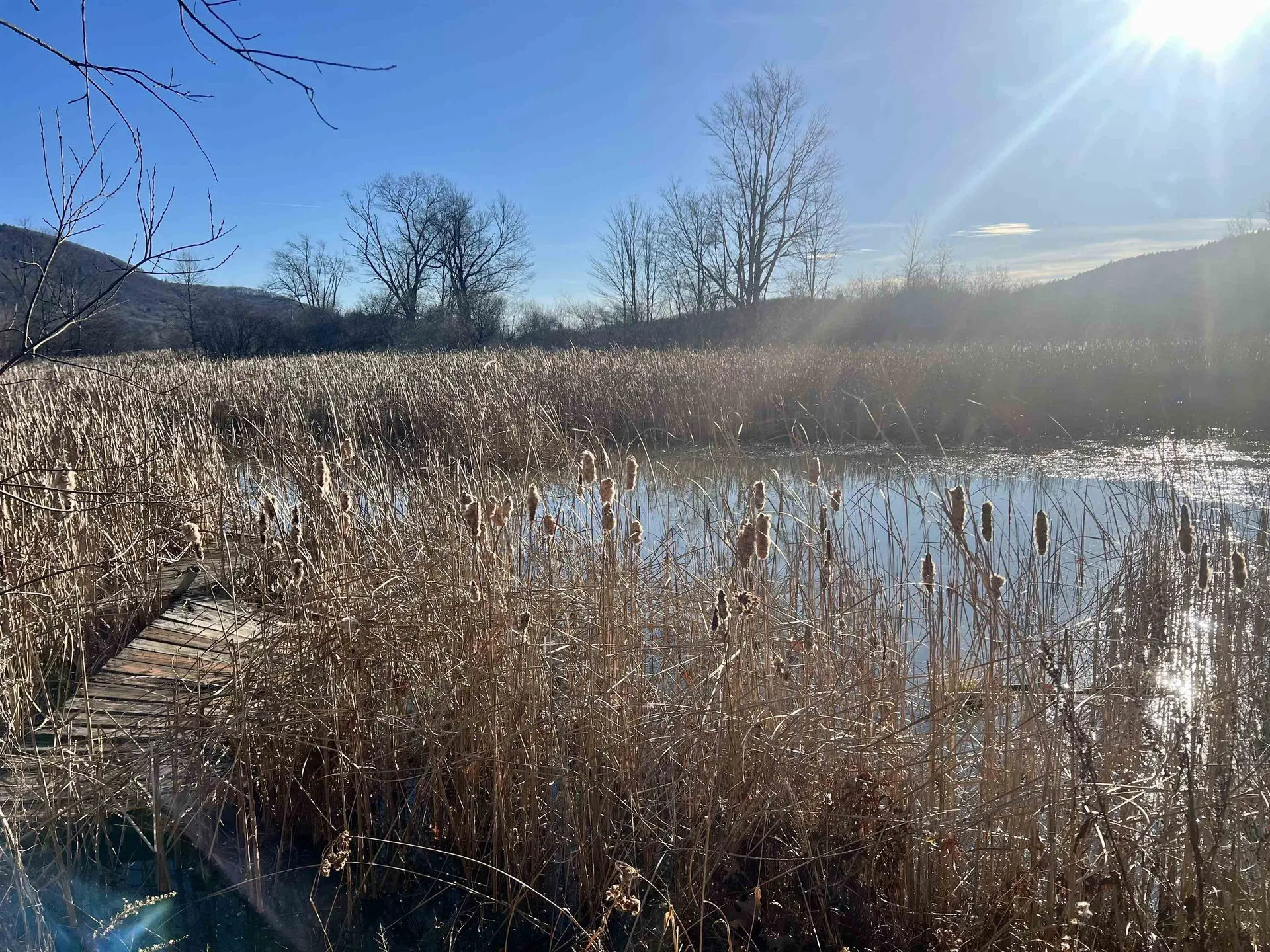 4 Herricks Cove Rockingham VT 05101