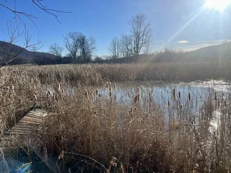 4 Herricks Cove Rockingham VT 05101