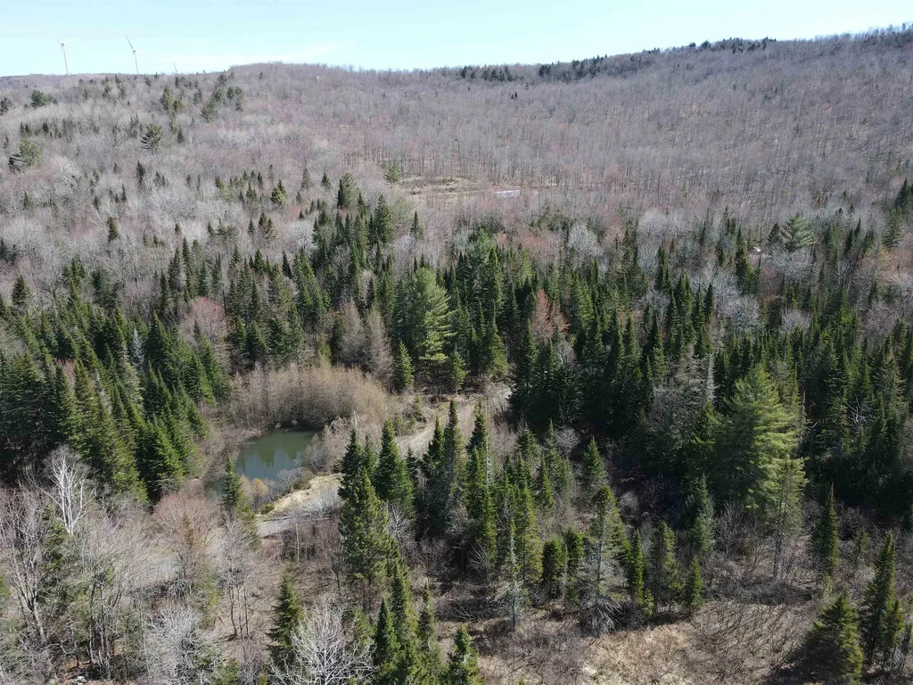 796 New Duck Pond Road Sheffield VT 05866