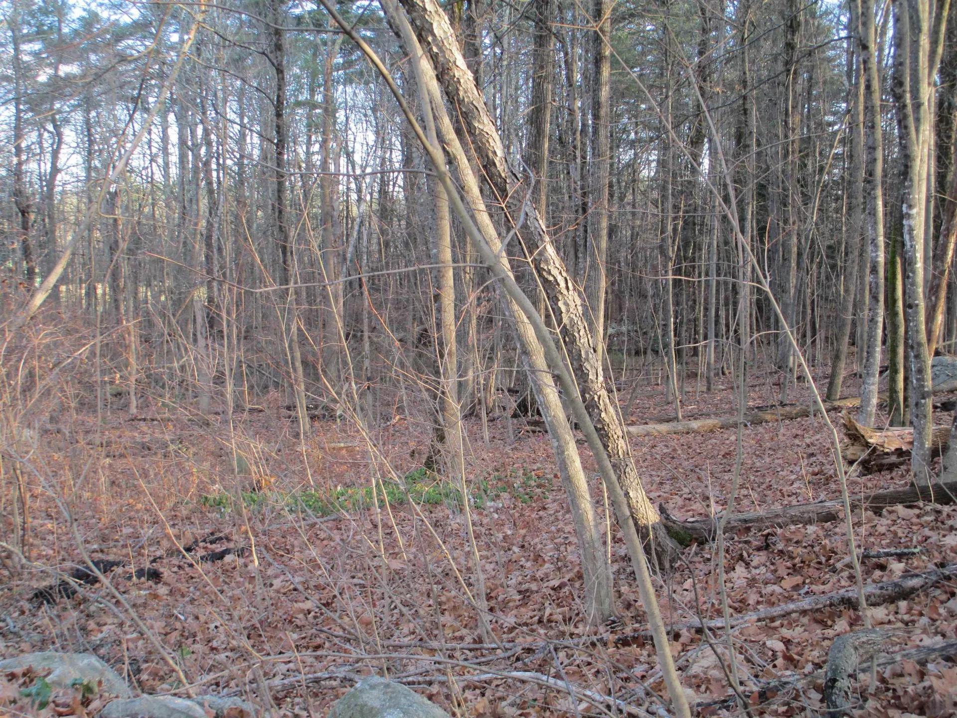 2-47 Old Amherst Road Mont Vernon NH 03057