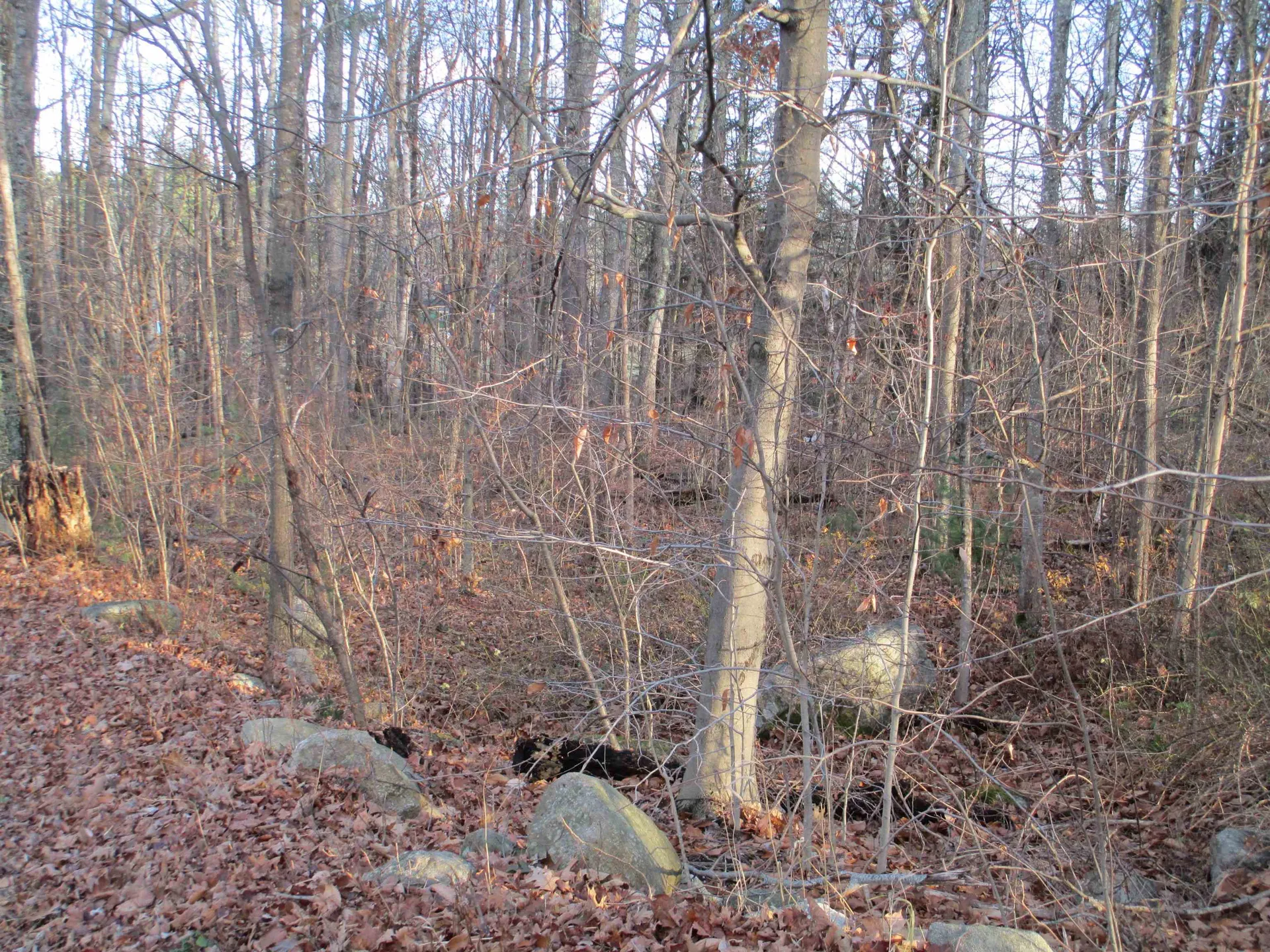 2-47 Old Amherst Road Mont Vernon NH 03057