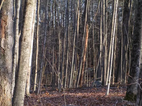 2-47 Old Amherst Road Mont Vernon NH 03057