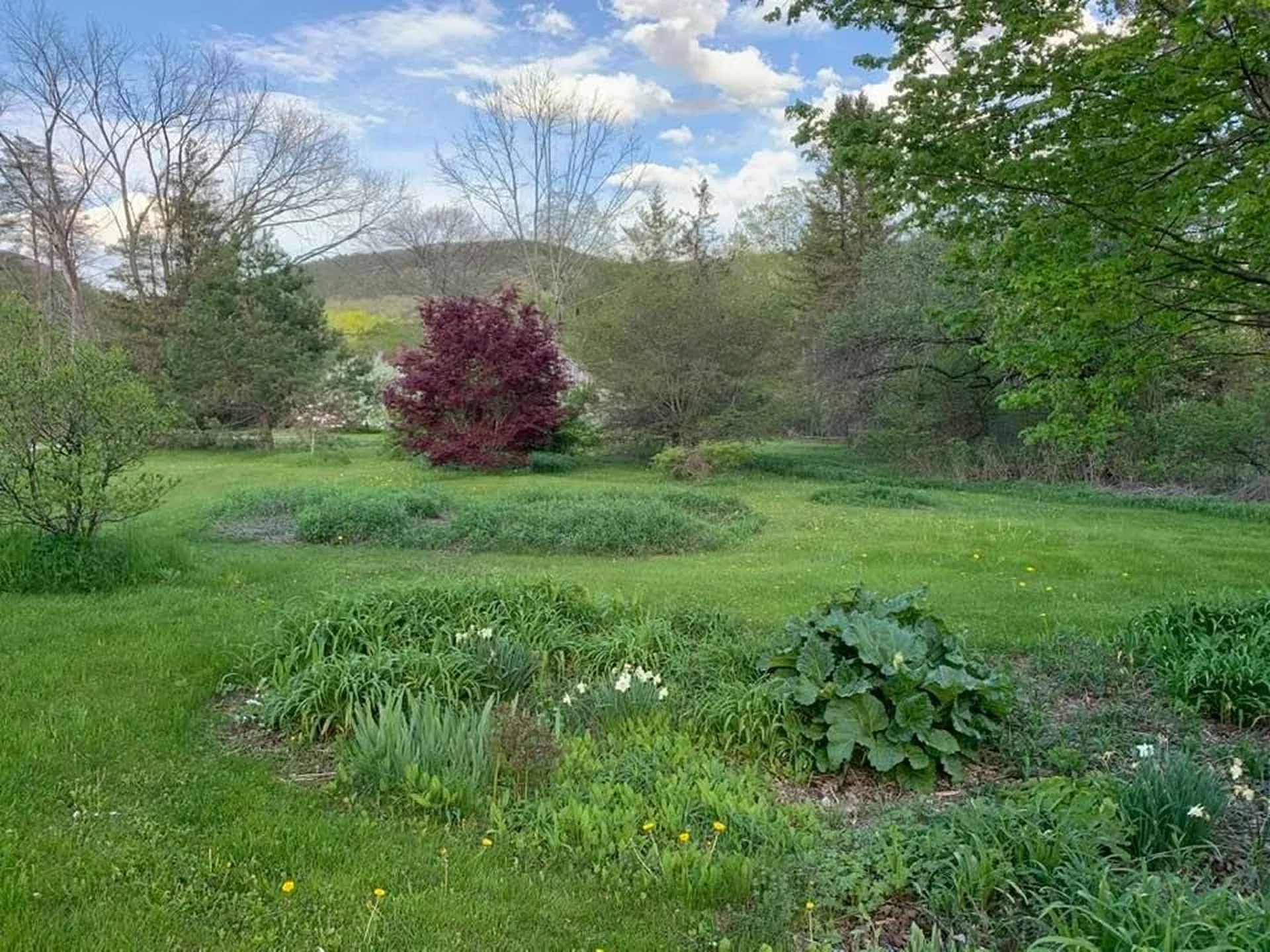 120 Village Street Dorset VT 05253