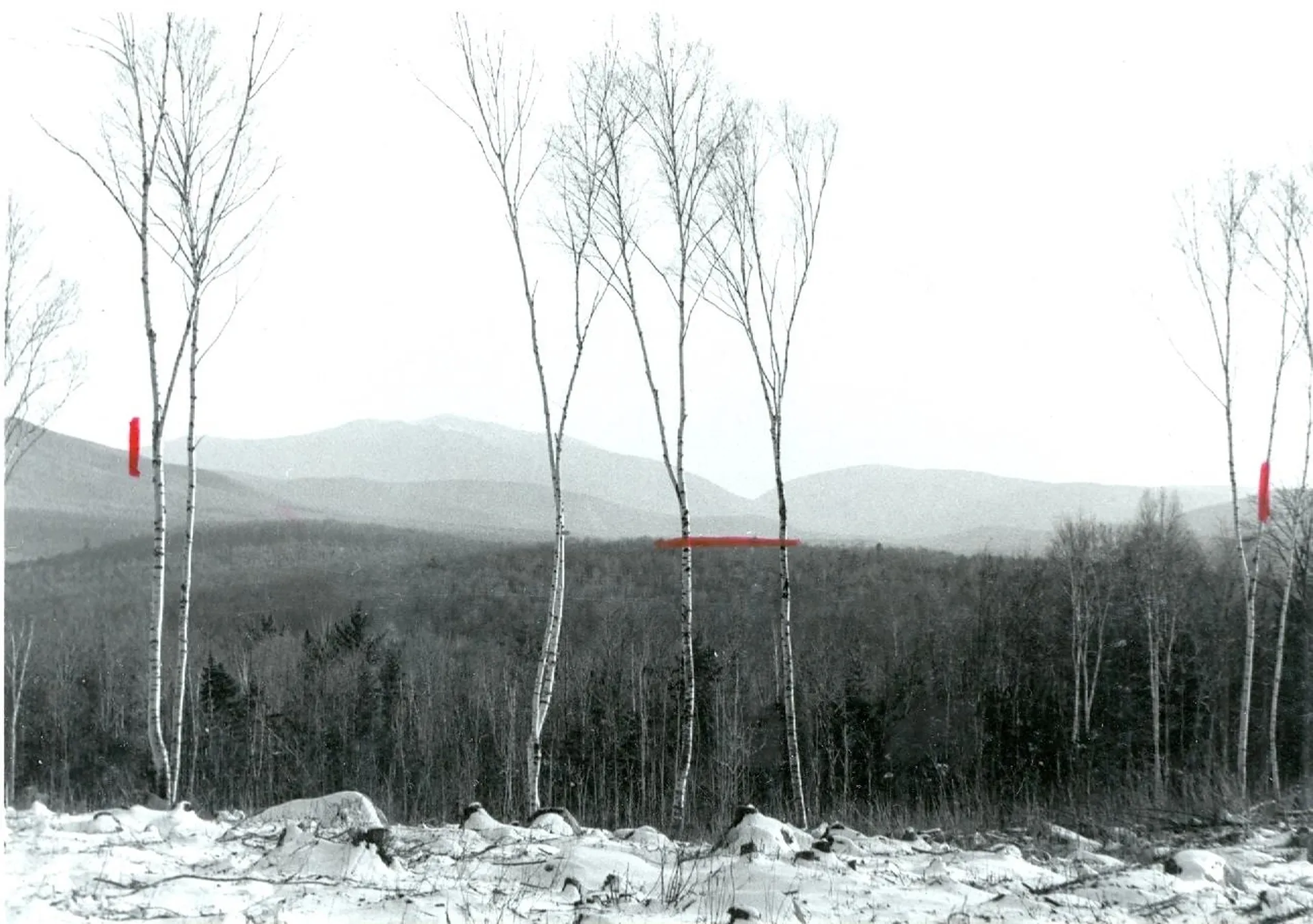 60 Indian Pipe Road Franconia NH 03580